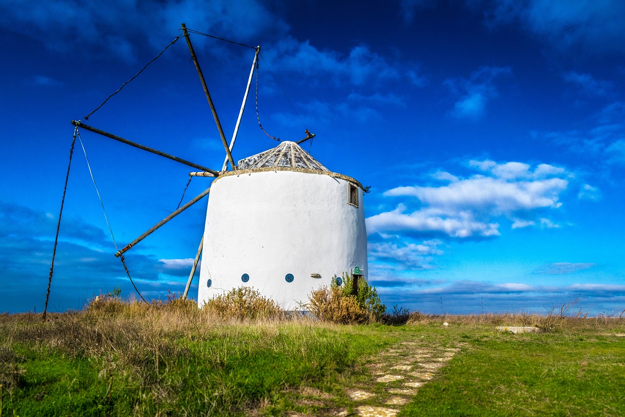 Green Travel Tips for Discovering Portugal’s Aveiro